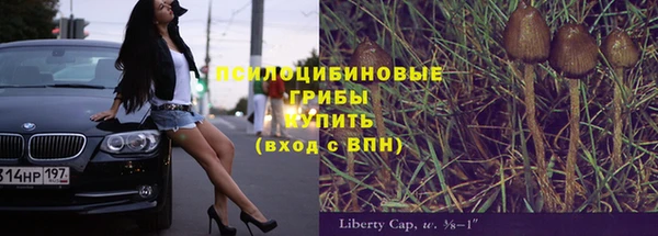 МДПВ Майский