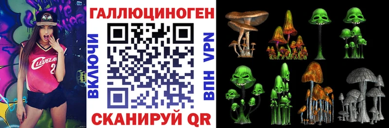 Псилоцибиновые грибы Psilocybe  Купить закладки  Пересвет 